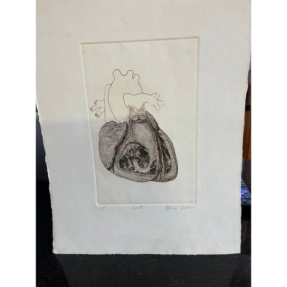 Vintage 1970's Artist Proof AP Artist Rendition Of The Human Heart Signed In Pen - Picture 1 of 10